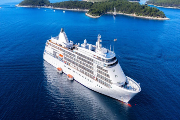 Cruise Wedding India